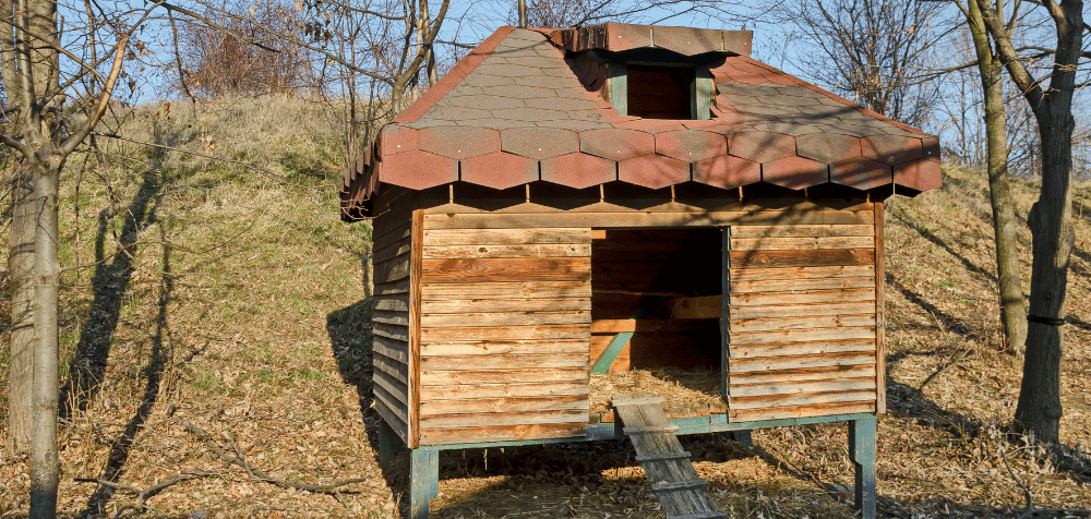 DIY Chicken coop