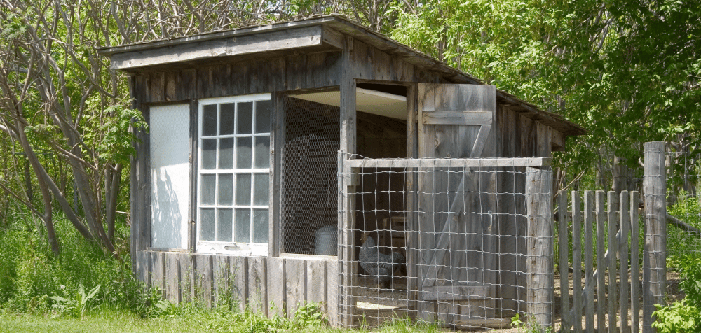 Planning Your DIY Chicken Coop