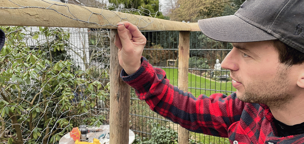 DIY Chicken Coop