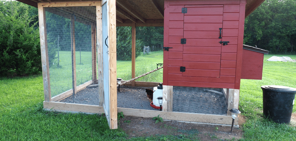 Chicken Coop Designs