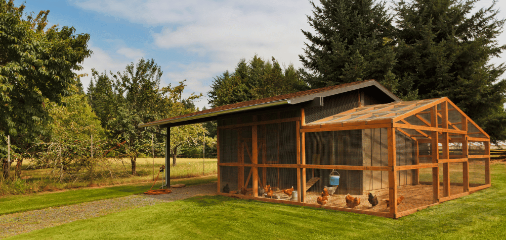 best way to insulate your chicken coop