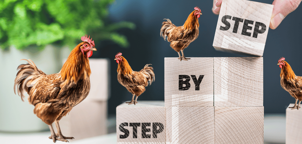 How to expand your chicken coop step by step guide