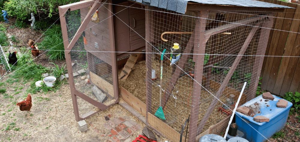 eco-friendly chicken coops