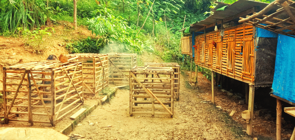 Portable Chicken Coops