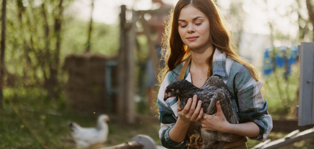 How to Prevent Chicken Diseases