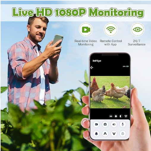 Why Install a Chicken Coop Camera?