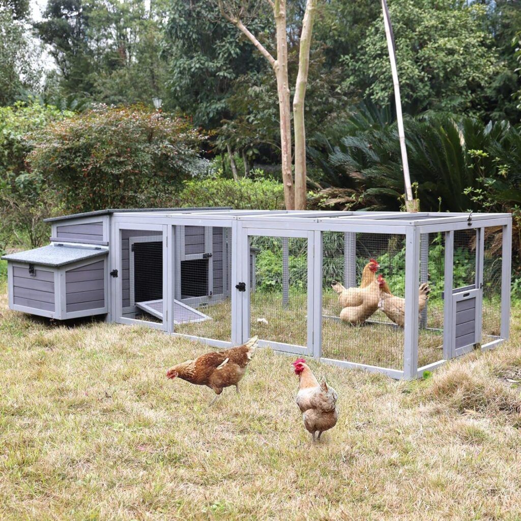 Chicken Coop With Run