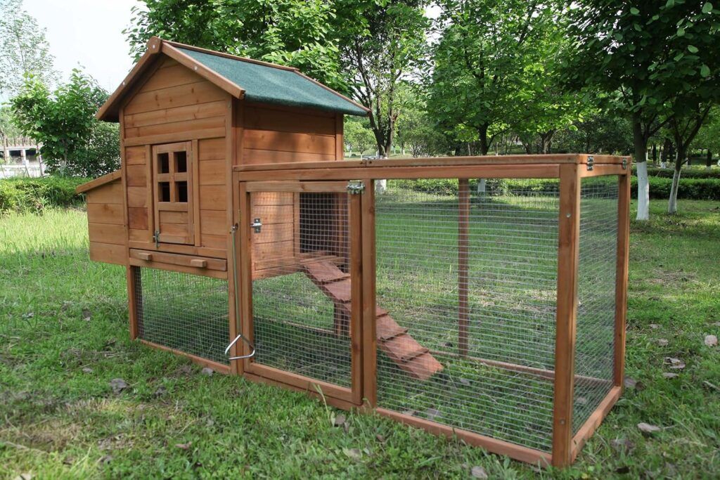 Custom Chicken Coops
