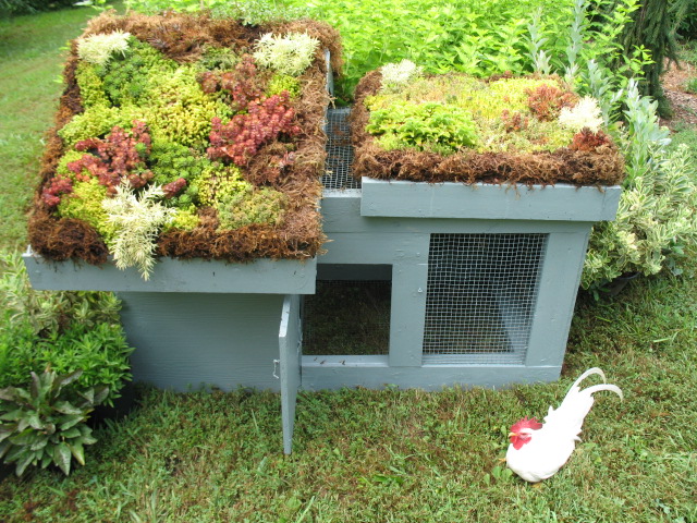 Green Roof Chicken Coop
