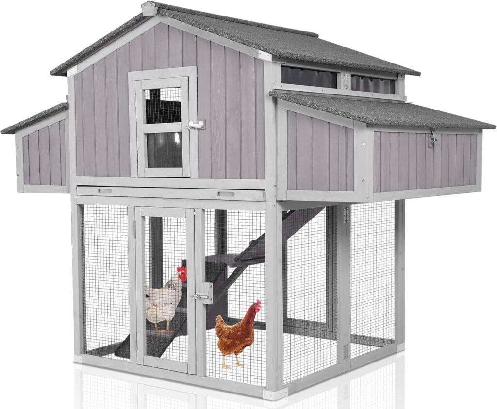 Urban chicken coop