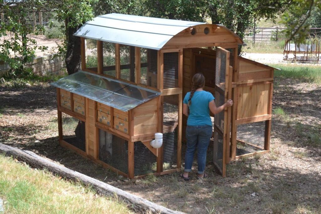 Walk in chicken coop